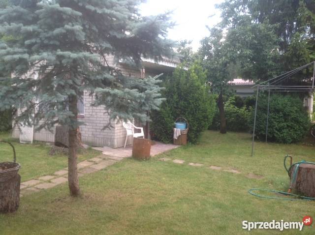 Sprzedam działkę na ROD Las Warszawa Białołęka