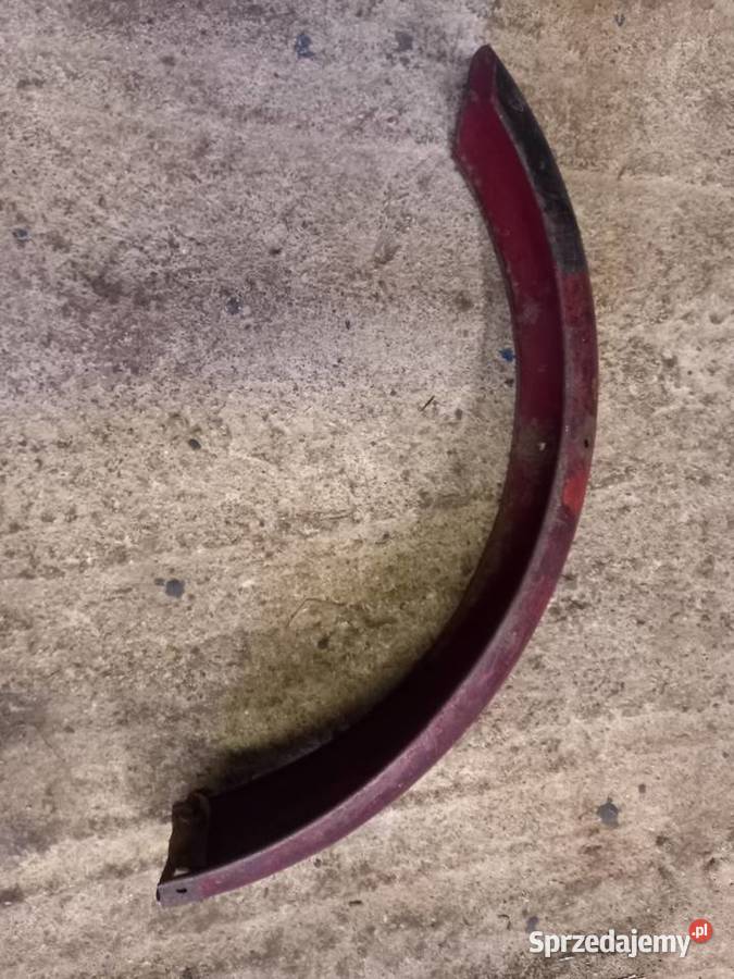 Blotnik przedni komar sztywniak Sokołów Podlaski