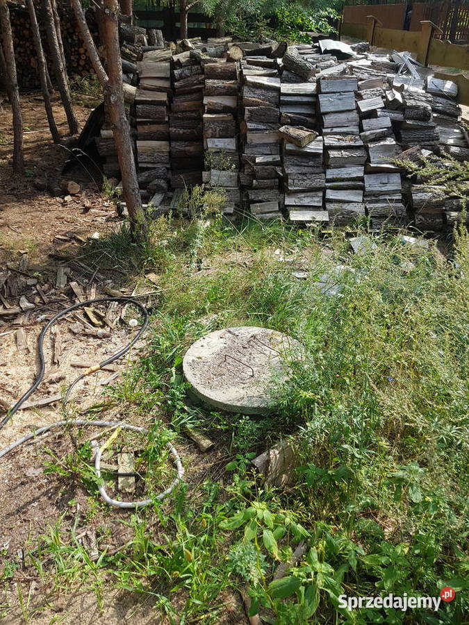 Buk wyprzedaz sezonowany 3 lata Płońsk