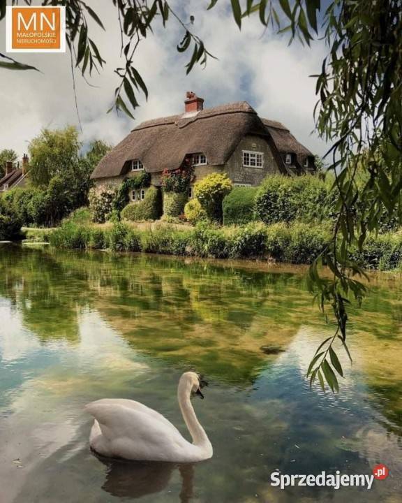 Dom wolnostojący Januszowice 100m2 do remontu