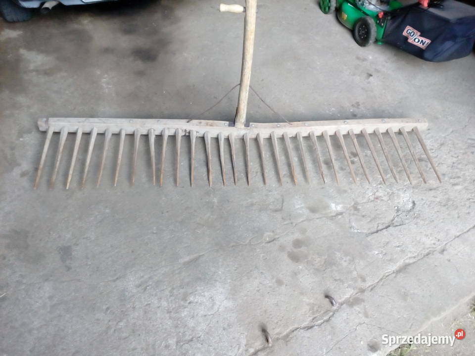 Grabie duze z lat 60 Lipno sprzedam