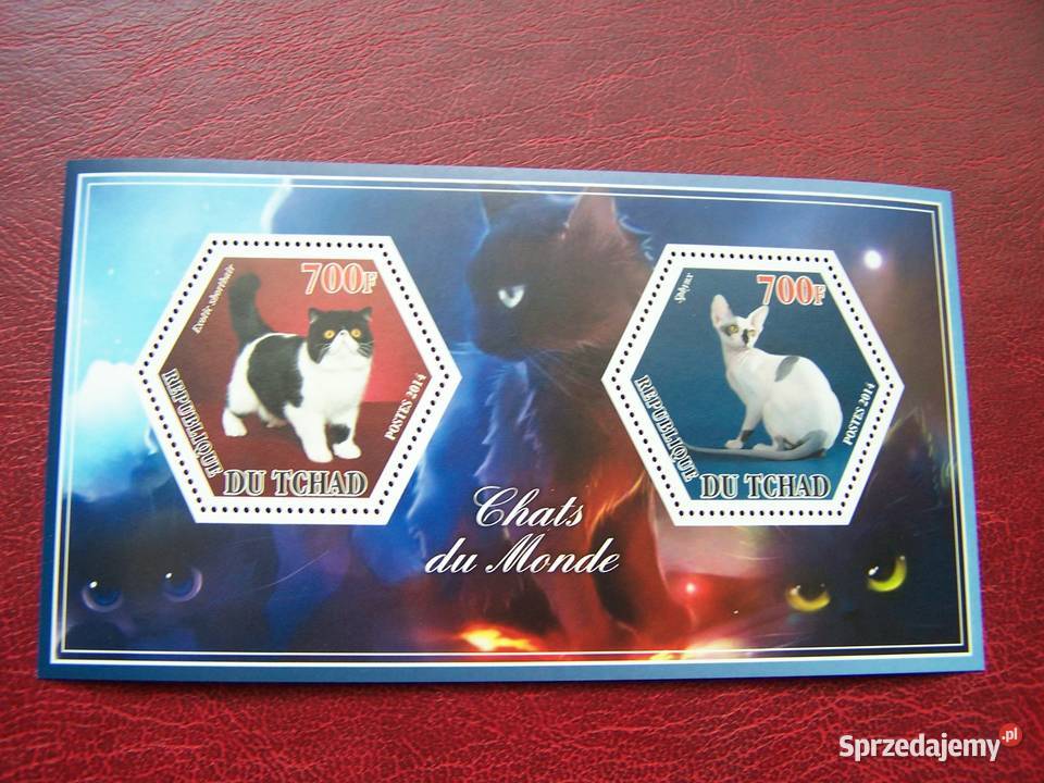 Czad 2014 MNH Fauna Zwierzęta Koty Tychy sprzedam