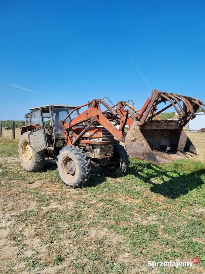 Ursus 1204 de luxe 120 Adamówka