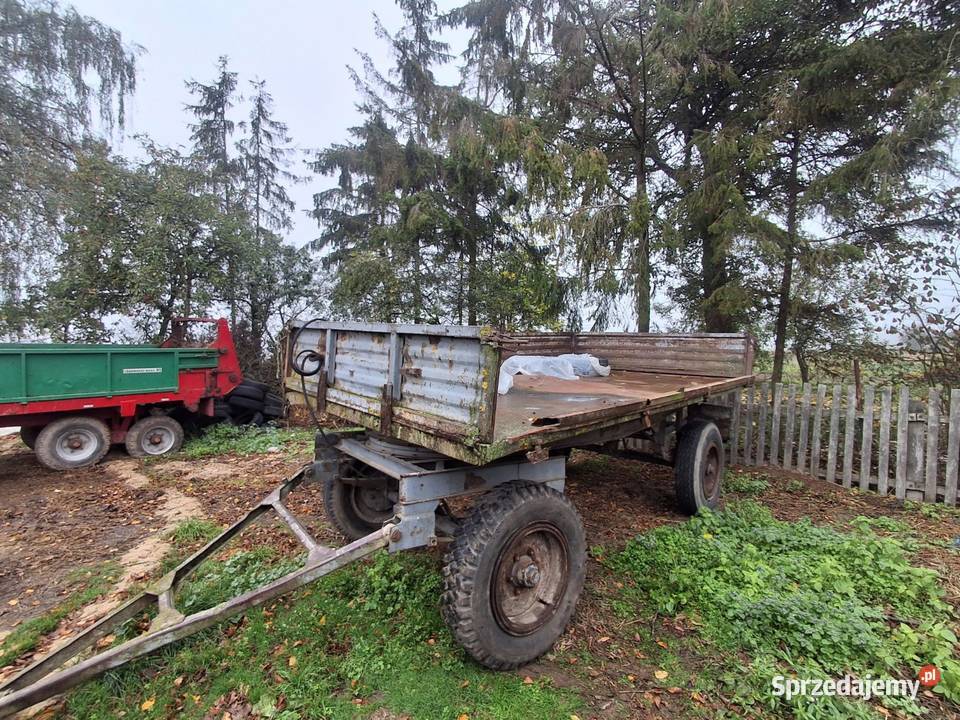 Przyczepa d47 Gęś sprzedam