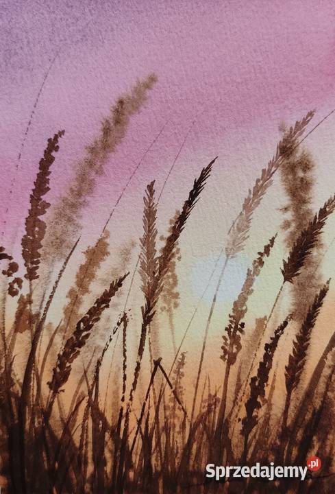 Oryginalna Akwarela Łąka 2 Ręcznie malowana Osobnica