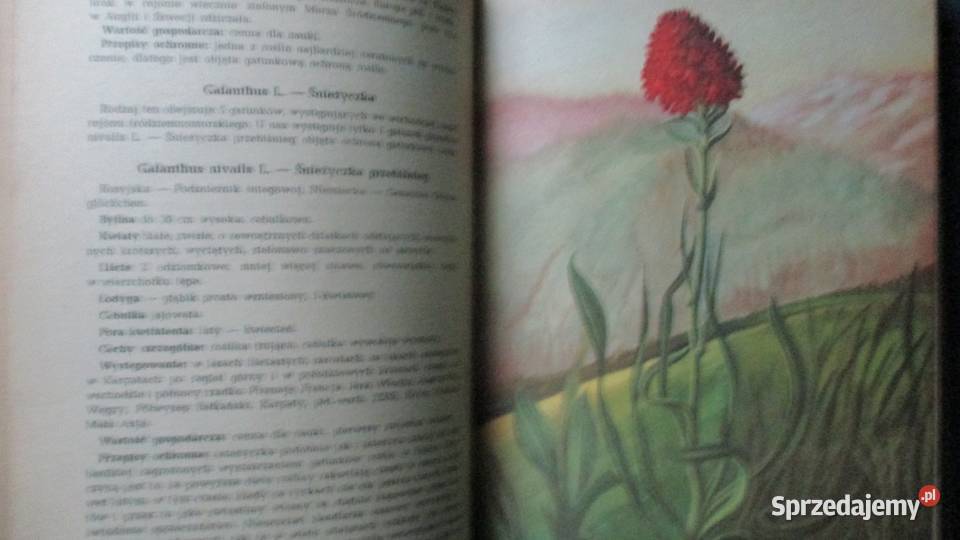 Ochrona roślin w PolsceLeonidas Świejkowski łódzkie Łódź