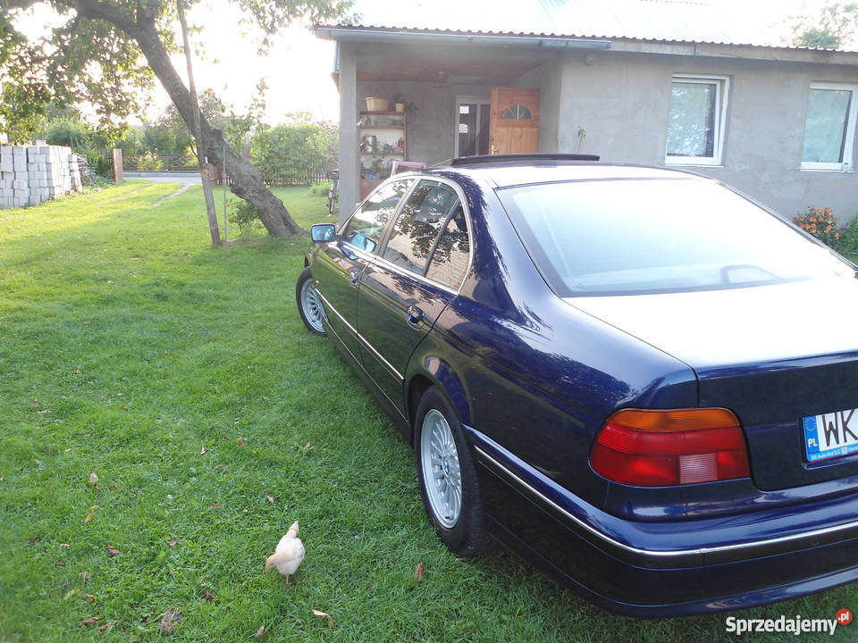 bmw e39 Niebieski środek Ful Seria 5 Łuków