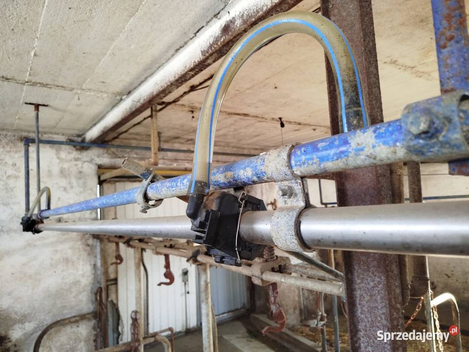 Dojarka przewodowa alfalaval likwidacja Grodzisk