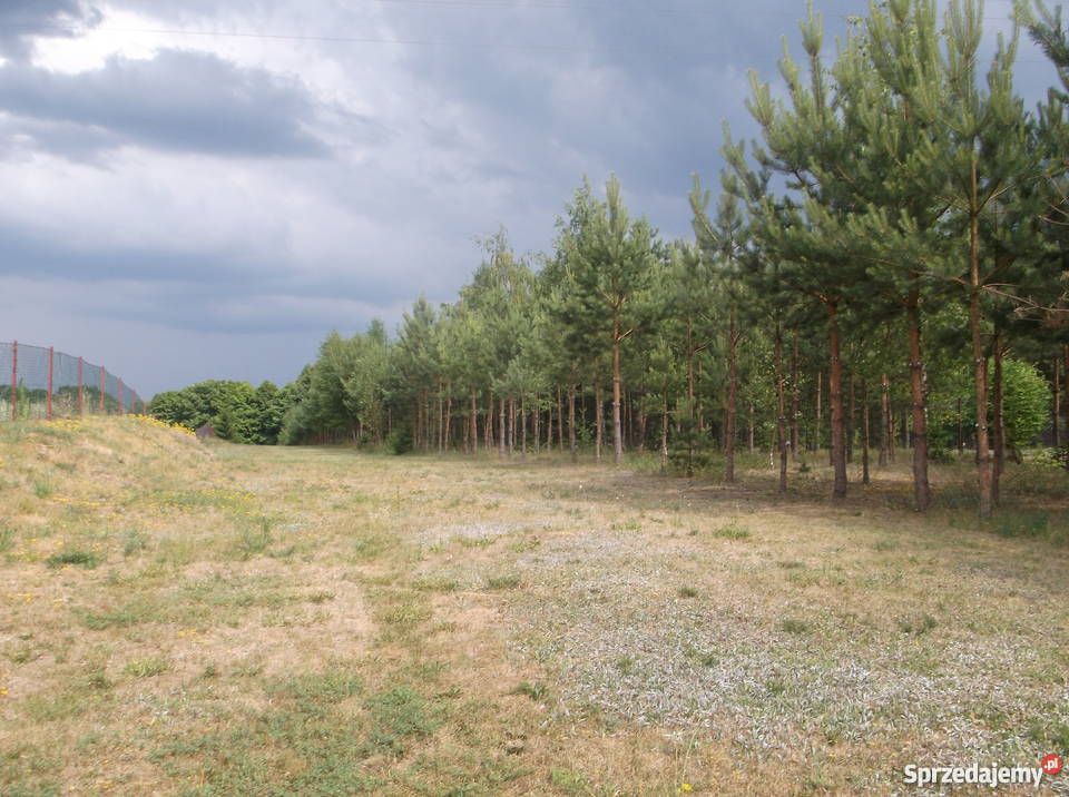 działka z linią brzegową i pomostem stalowym Remieńkiń