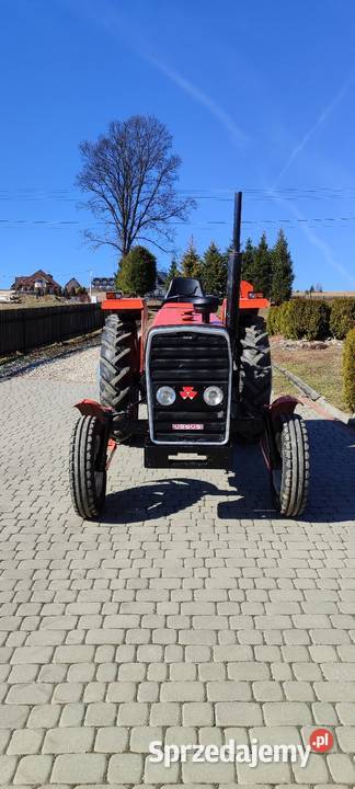 Massey Ferguson 255 Zadbany Ciągniki Jabłonka