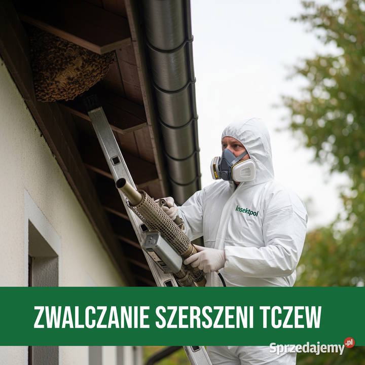 Zwalczanie Szerszeni Tczew Usuwanie Gniazd