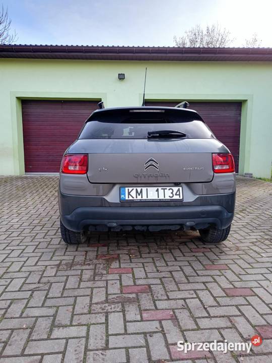 Citrona C4 Cactus 2017 4/5