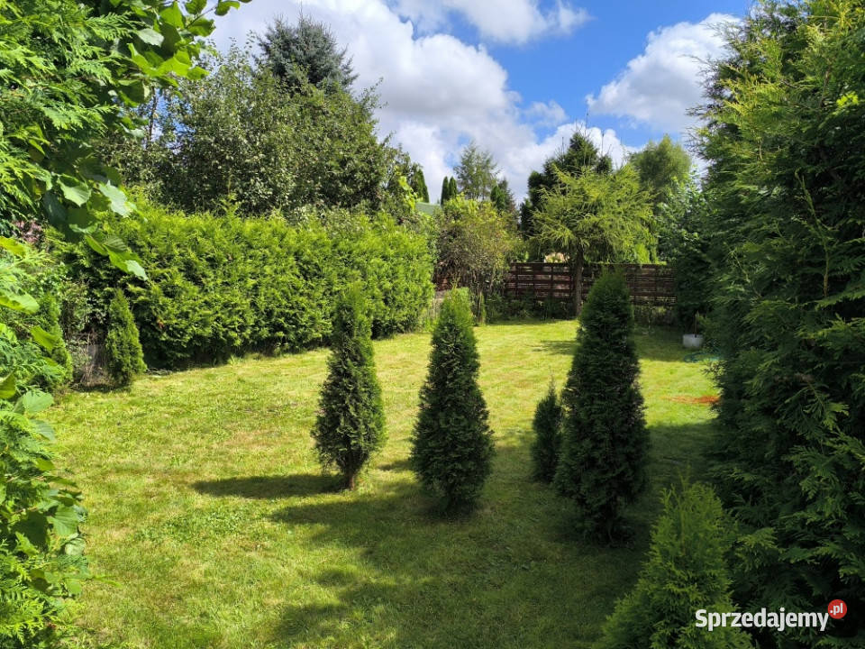 Działka ROD z przyczepą morzem Sprzedaż Niekłonice