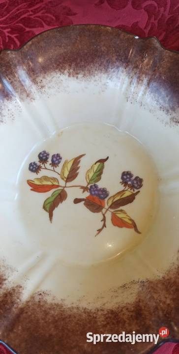 Patera miseczka z gałązką jeżyny w brązach i Gdańsk