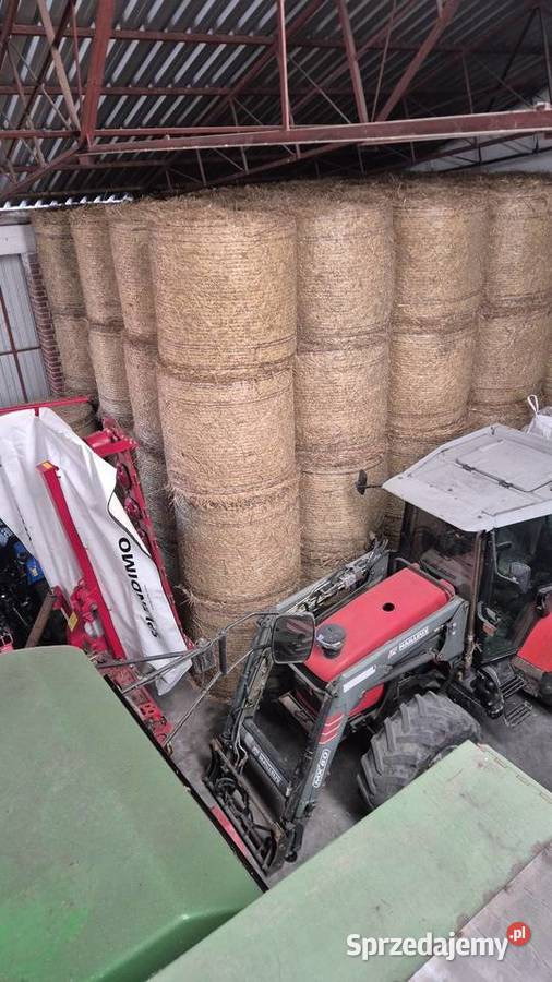 Słoma balot słoma w belach 130 sprzedam