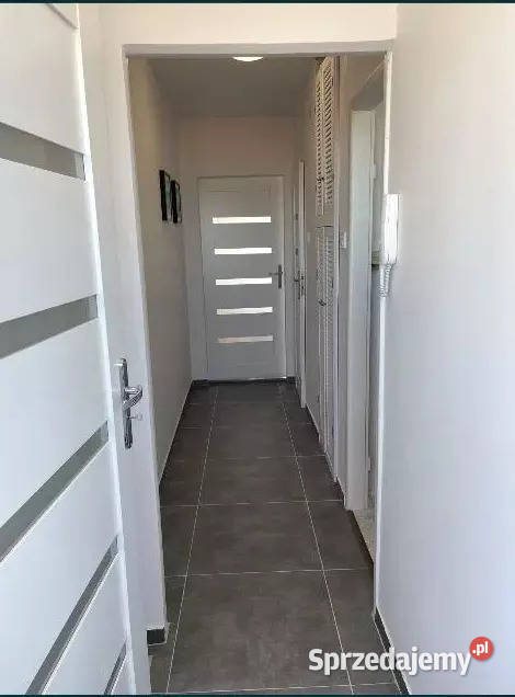 2 pokoje Olivia Business Centrezwierzęta mile winda Gdańsk