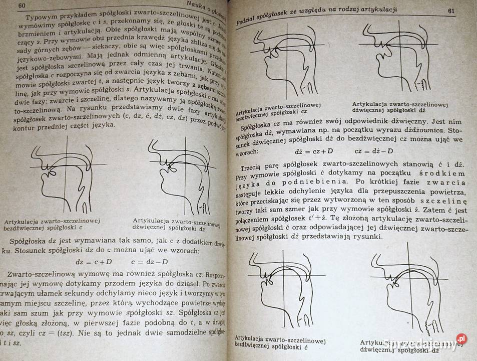 Piotr Bąk Gramatyka Języka Polskiego Gramatyka języka polskiego. Zarys popularny - Piotr Bąk Chełm