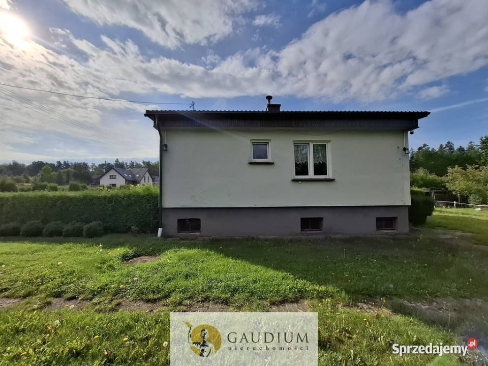 Dom w Leźnie I działka 1227 m2 Nieruchomości