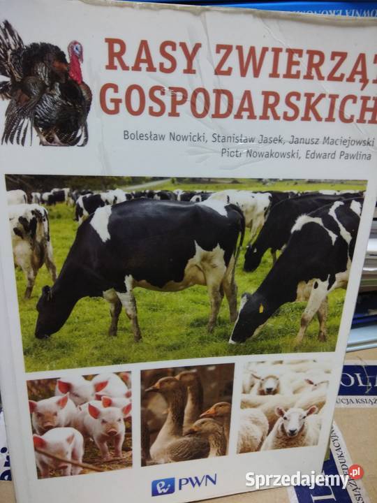 Rasy zwierząt gospodarskich Warszawa sprzedam