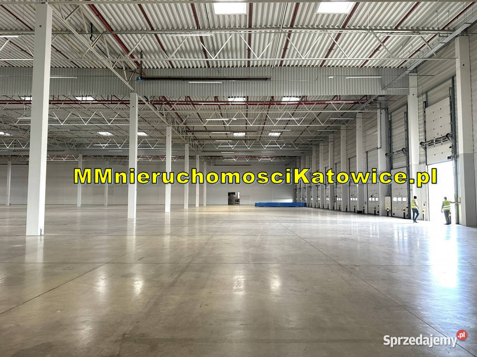 Magazyny do wynajęcia łódzkie Piotrków 10450m2 Piotrków Trybunalski
