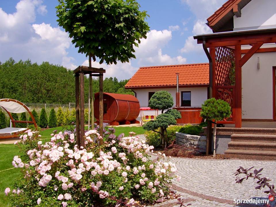Projektowanie ogrodów Kielce Realizacja