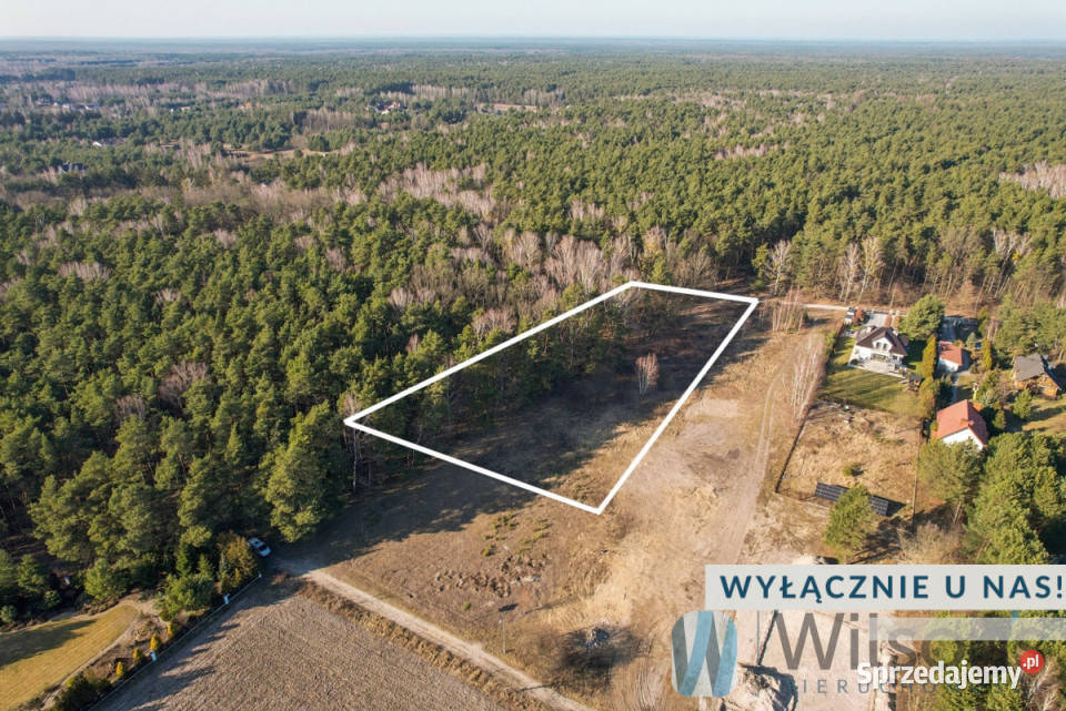 Działkę sprzedam 3726m2 Leszno Polna mazowieckie