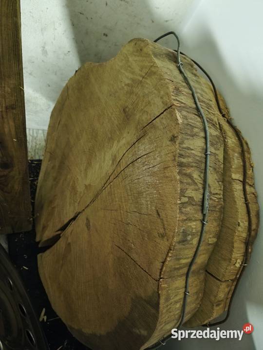 Plastry bukowe na stolikozdoba śr90 gr14 Gdańsk