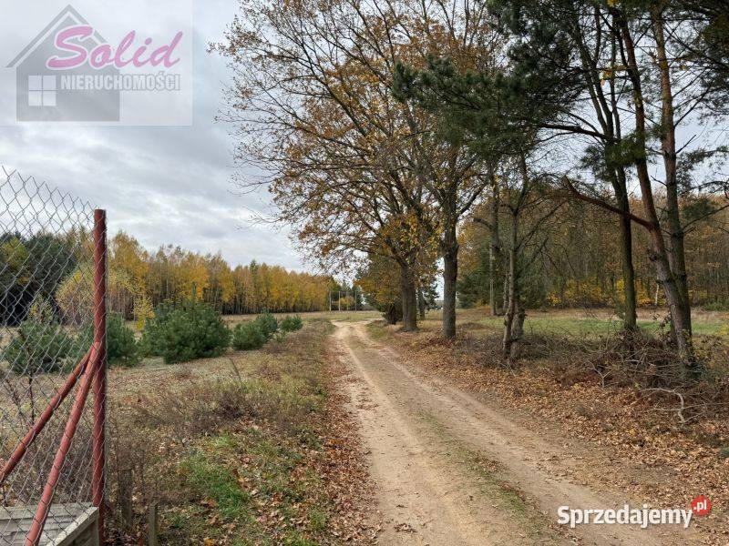 Urokliwa działka z możliwością zabudowy w mazowieckie Choinek