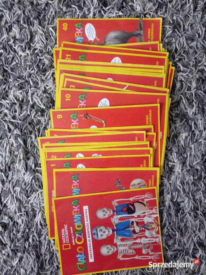 Zestaw gazetki Ciało człowieka National Chrzanów