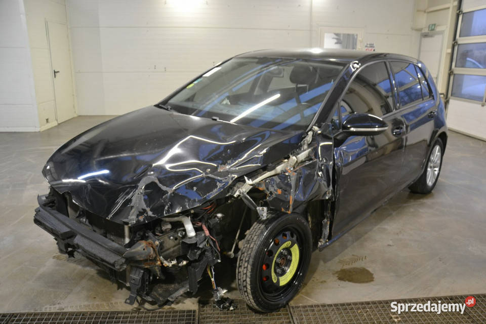 Volkswagen Golf 16 tdi 105 nawigacja niskie małopolskie