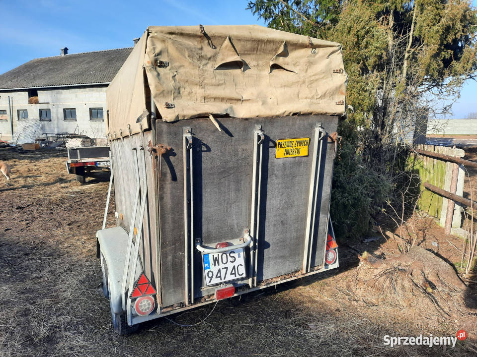Przyczepa do przewozu koni WESTERIA VT 135 DMC Dzbądzek
