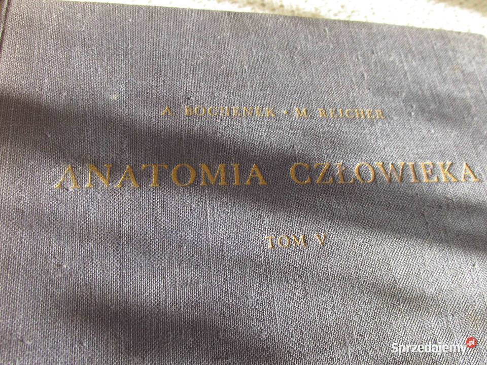 Anatomia CzłowiekaBochenek Tom 5 PZWL 1960
