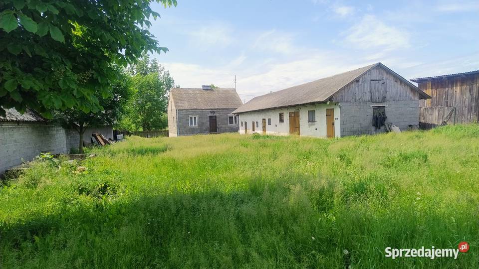 Sprzedam dom z budynkami w ciekawej okolicy Warzyn Pierwszy sprzedam