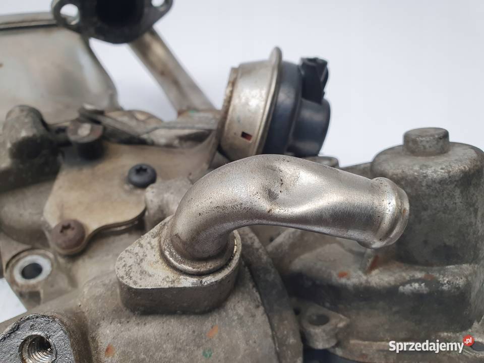 CHŁODNICA SPALIN Maxus V80 25 D oryginał Chełm