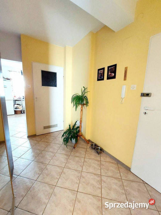 Żabiniec 3 pokoje balkon jasna kuchnia