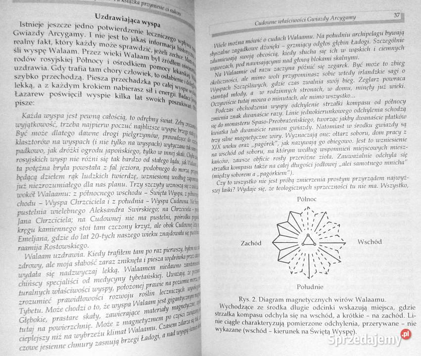 Gwiazda Arcygamy Andriej Lewszynow lubelskie Chełm