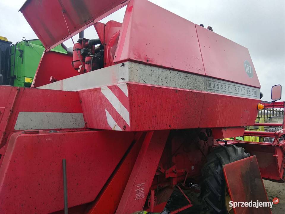 Kombajn zbożowy Massey Ferguson 187 z Massey Ferguson mazowieckie