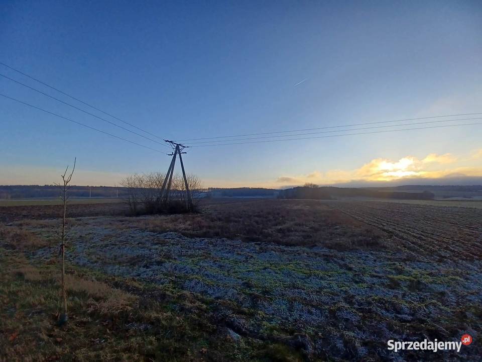 Działka budowlana drodze asfaltowej Sośnica