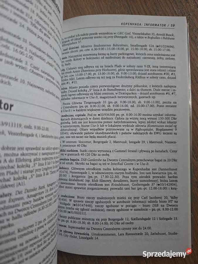 Dania praktyczny przewodnik Pascal sprzedam