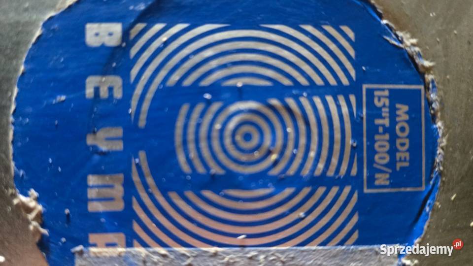 Głośnik 100W 15T100N Beyma Olsztyn sprzedam