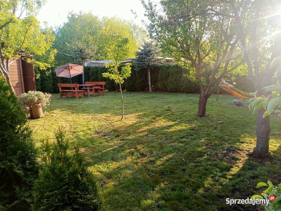 Ogródek działkowy działka rod Miłosław sprzedam