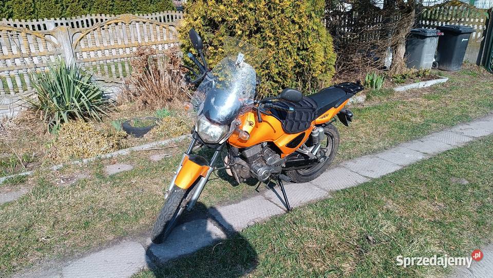 Junak 123 Zontes Zalesice