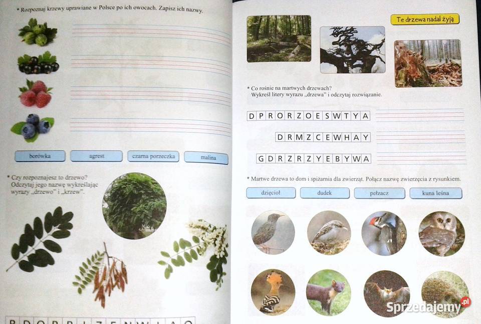 Zielona podróż kl 3 Ewa Borysiuk Rok wydania 2017 Chełm