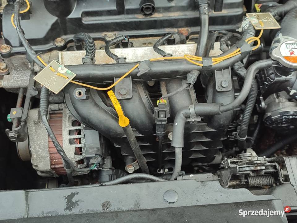 Kia rio z Niemiec bezwypadkowy 125 benzyna Rio Kłodzko