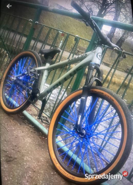 Dirt Kellys whip 70 2024 r Toruń