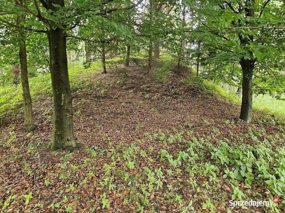 Działka budowlana 6000 m2 JEZIOROLAS Drogoszowice