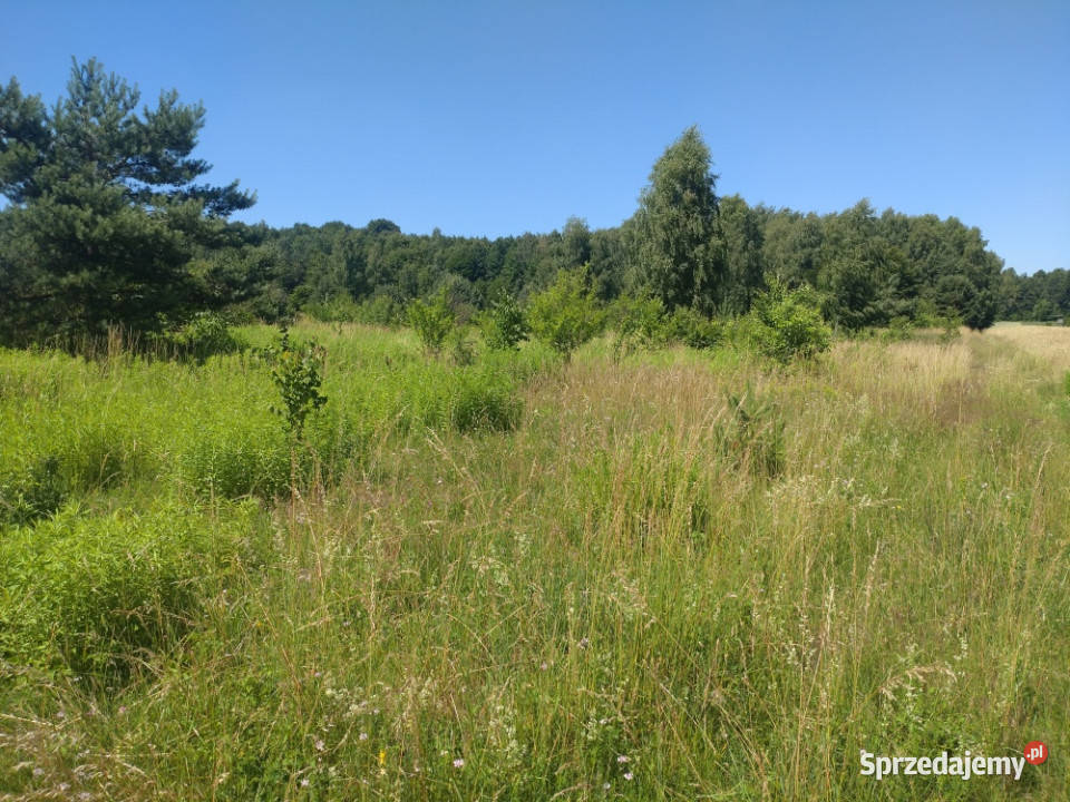 Nieruchomość pod zabudowę i działalność usługową 64190m2 śląskie