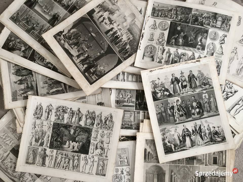 Wielka kolekcja stalorytów Henryego Winklesa Toruń