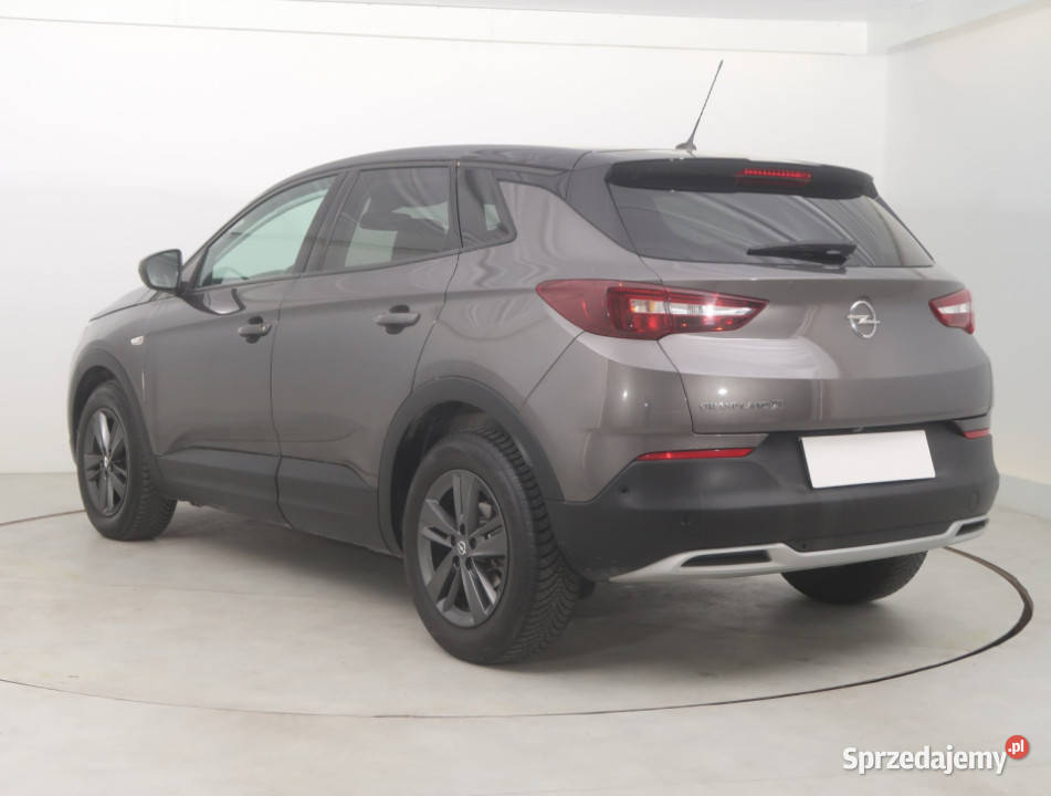 Opel Grandland 12 Turbo skórzana tapicerka Grandland X Bielany Wrocławskie