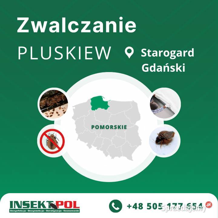 Zwalczanie pluskiew Starogard Gdański